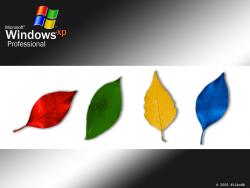 Fall XP Pro 02